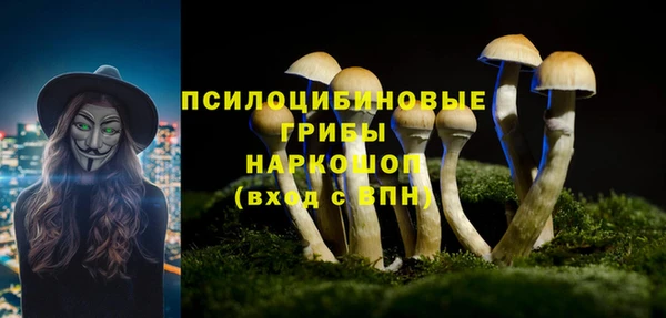 альфа пвп Богородицк