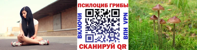 omg как зайти  Якутск  Псилоцибиновые грибы GOLDEN TEACHER 