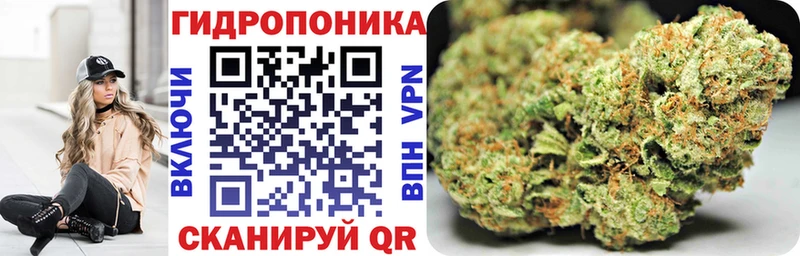 Шишки марихуана планчик Якутск